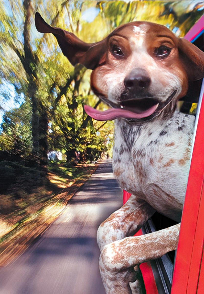 WISHING YOU MILES OF SMILES