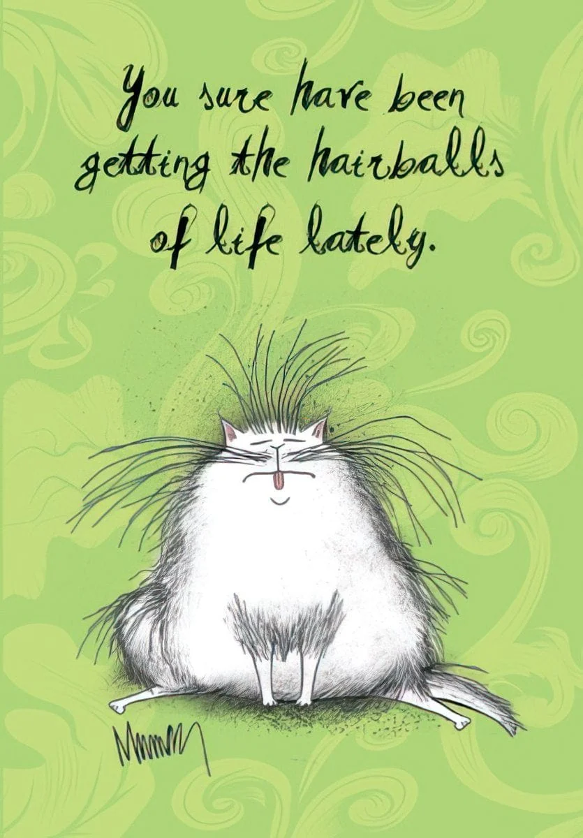 YOU SURE HAVE BEEN GETTING THE HAIRBALLS OF LIFE LATELY.